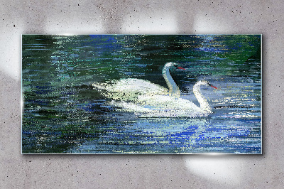 Calm water with swans Glass Wall Art