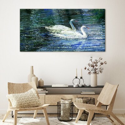 Calm water with swans Glass Wall Art