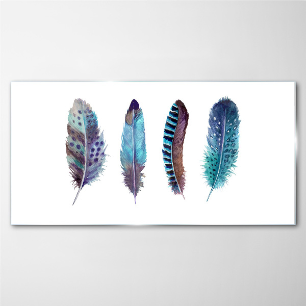 Colorful Feathers on White Background Glass Print