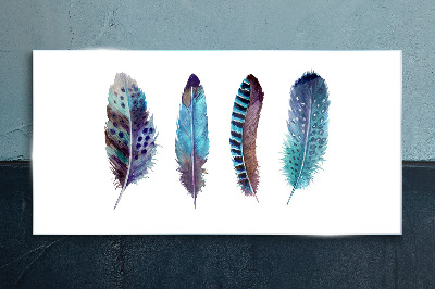 Colorful Feathers on White Background Glass Print