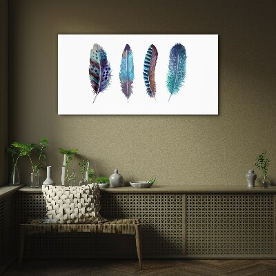 Colorful Feathers on White Background Glass Print