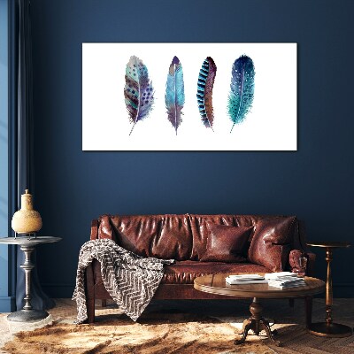 Colorful Feathers on White Background Glass Print