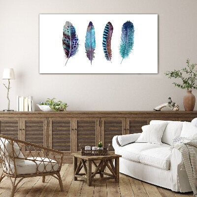 Colorful Feathers on White Background Glass Print