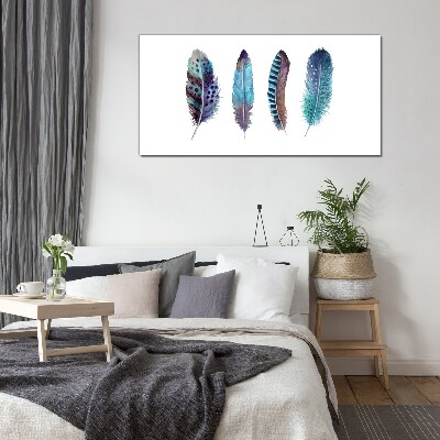 Colorful Feathers on White Background Glass Print