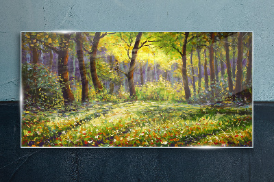 Golden light in the forest grove Glass Print