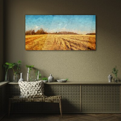 Golden fields under blue sky Glass Print