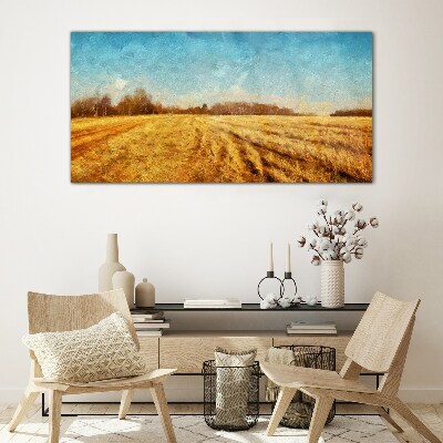 Golden fields under blue sky Glass Print