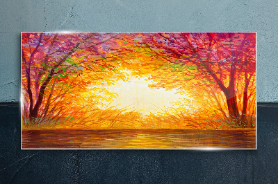 Sunset in a colorful forest Glass Print