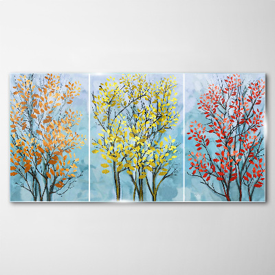 Autumn trees in colors Glass Print