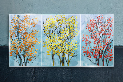 Autumn trees in colors Glass Print
