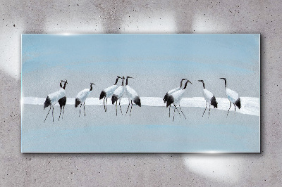 Animals birds Glass Wall Art