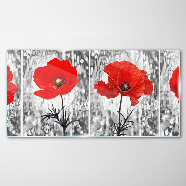 Red poppies on a glass background Glass Print
