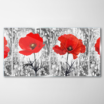 Red poppies on a glass background Glass Print