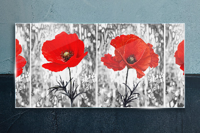 Red poppies on a glass background Glass Print
