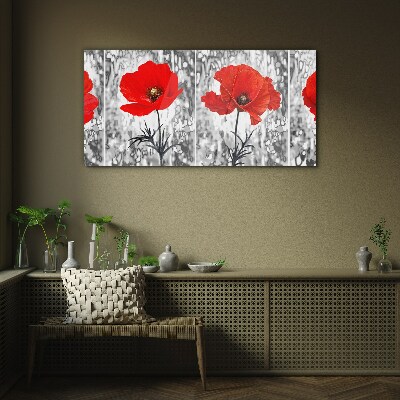Red poppies on a glass background Glass Print