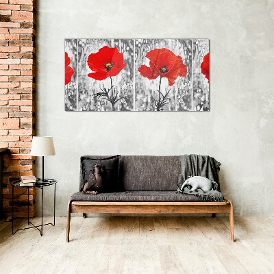 Red poppies on a glass background Glass Print
