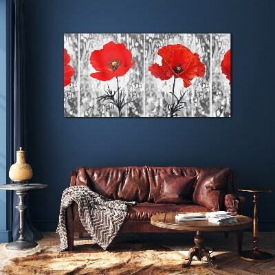 Red poppies on a glass background Glass Print