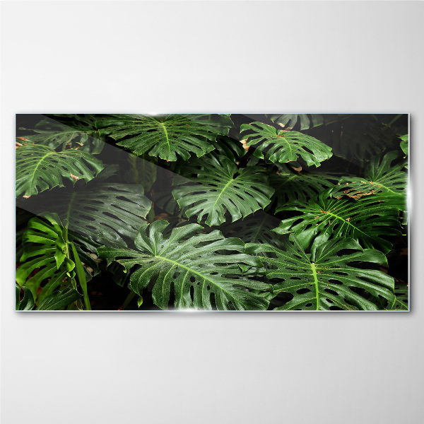 Tropical Monstera Leaves Glass Print