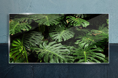 Tropical Monstera Leaves Glass Print