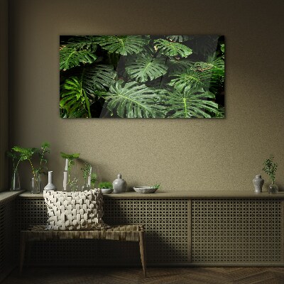 Tropical Monstera Leaves Glass Print