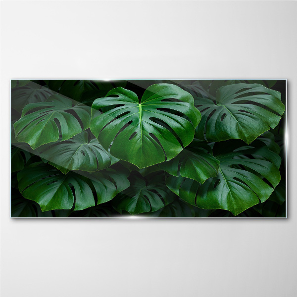 Green Symphony of Monstera Leaves Glass Print