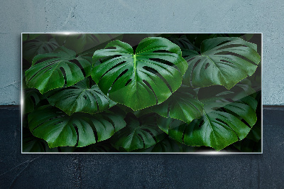 Green Symphony of Monstera Leaves Glass Print