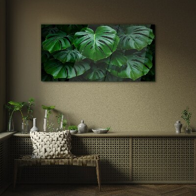 Green Symphony of Monstera Leaves Glass Print