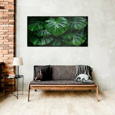 Green Symphony of Monstera Leaves Glass Print
