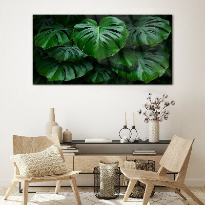 Green Symphony of Monstera Leaves Glass Print