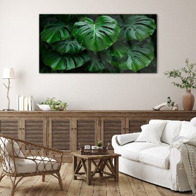 Green Symphony of Monstera Leaves Glass Print