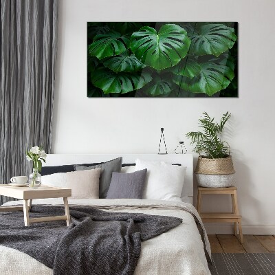 Green Symphony of Monstera Leaves Glass Print