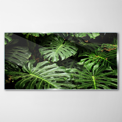 Green jungle Glass Print