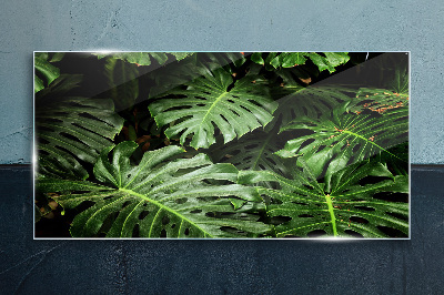 Green jungle Glass Print