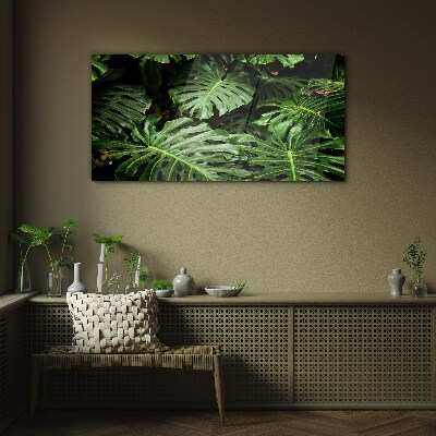 Green jungle Glass Print