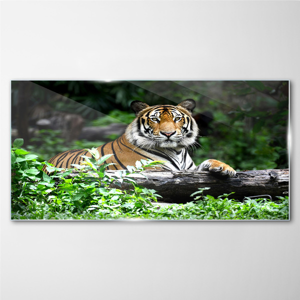 Tiger in the green forest Glass Wall Art