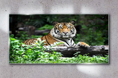 Tiger in the green forest Glass Wall Art