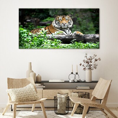 Tiger in the green forest Glass Wall Art