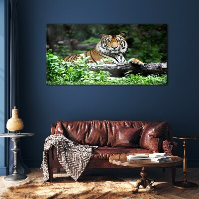 Tiger in the green forest Glass Wall Art