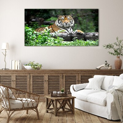 Forest animal tiger cat Glass Wall Art