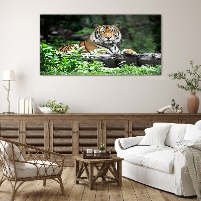 Tiger in the green forest Glass Wall Art