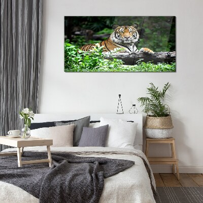 Tiger in the green forest Glass Wall Art