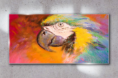 Tropical parrot in joyful colors Glass Wall Art