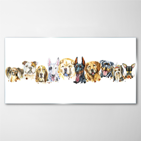 Dog friendships Glass Print