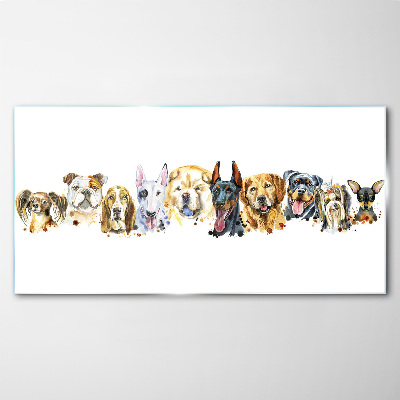 Dog friendships Glass Print