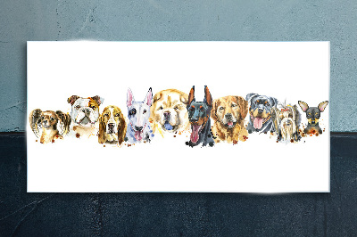 Dog friendships Glass Print
