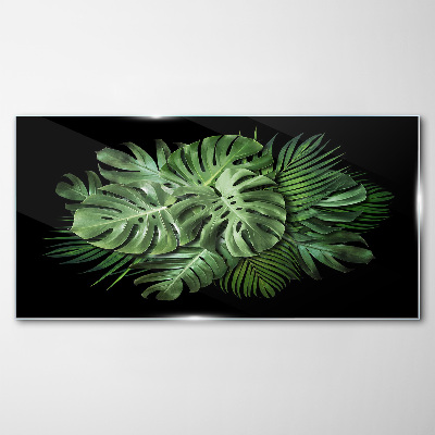 Tropical green on black background Glass Print
