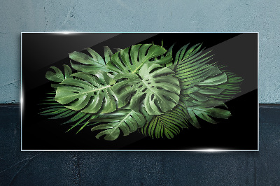 Plant leaves Glass Print