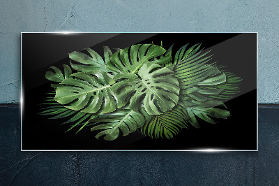 Tropical green on black background Glass Print