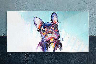 Colorful portrait of a French bulldog Glass Print