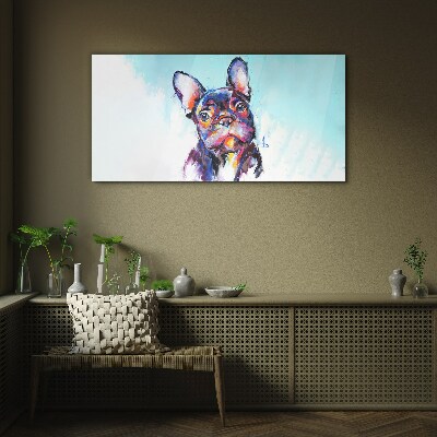 Colorful portrait of a French bulldog Glass Print